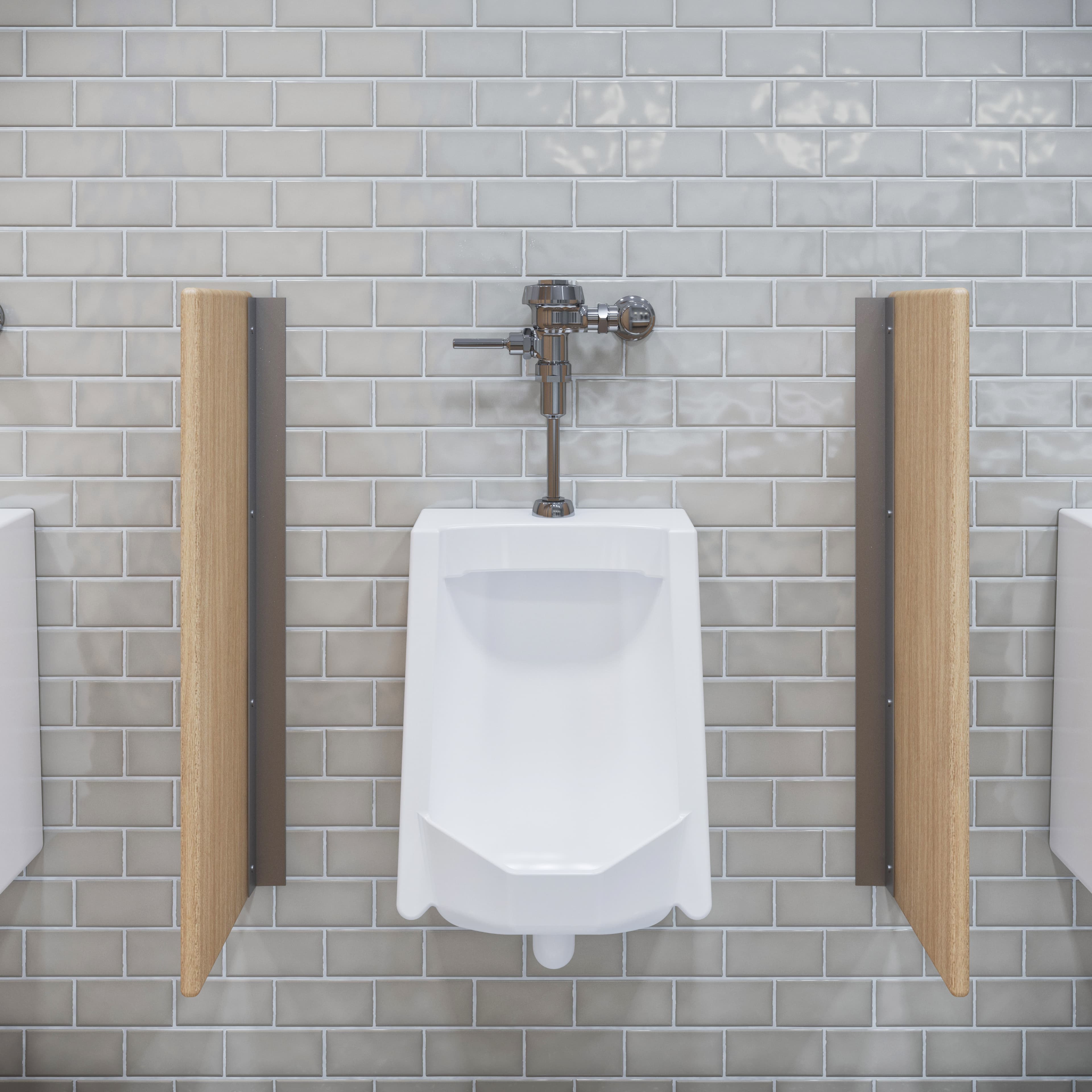 Lake Street Urinal Stall