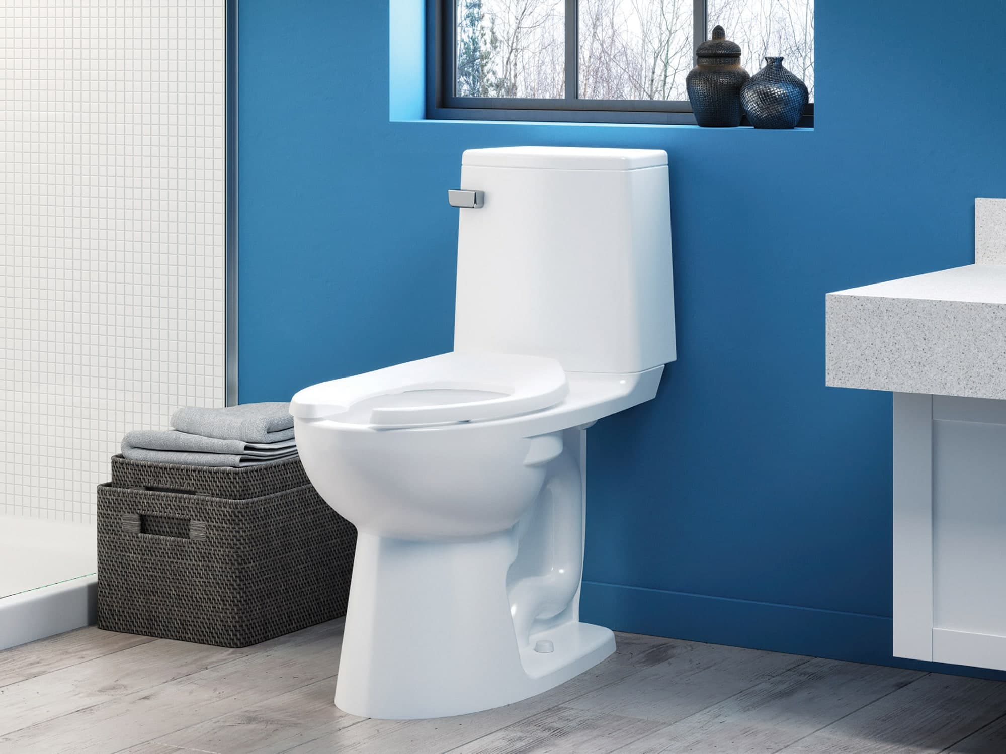 Gravity Toilet Single family home restrooms