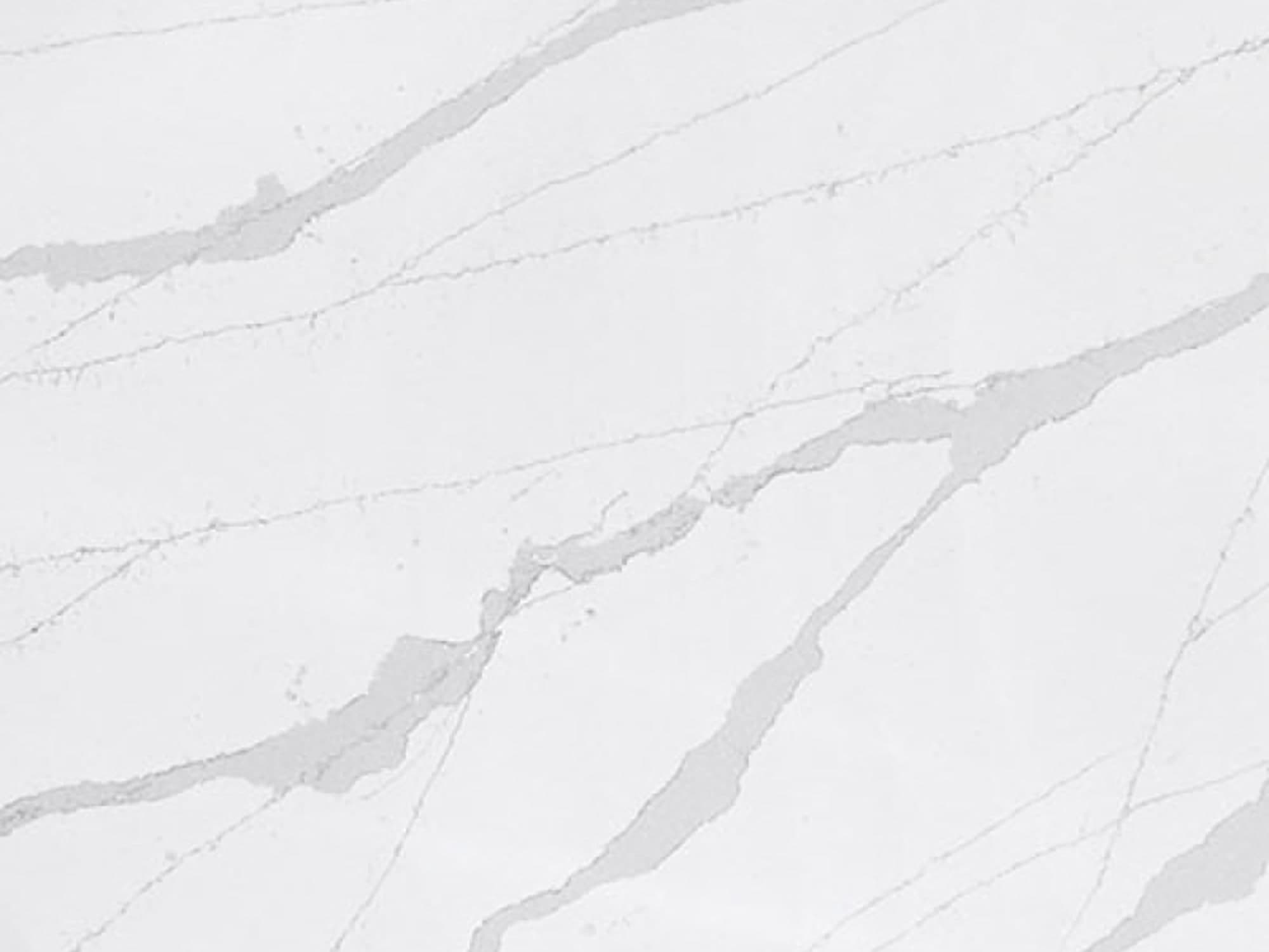 Close-up of white marble wall with bold gray veining.