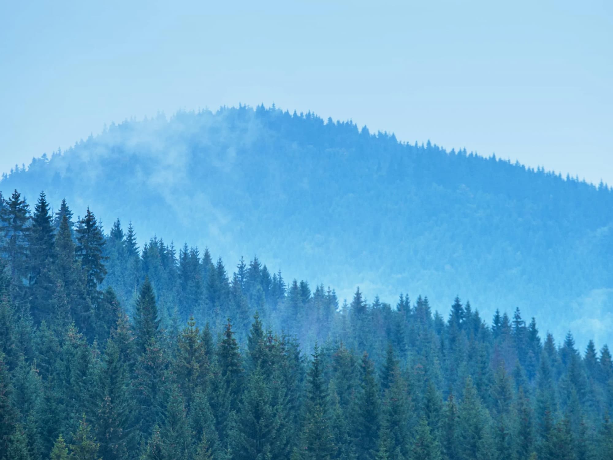 Carbon Neutral Products