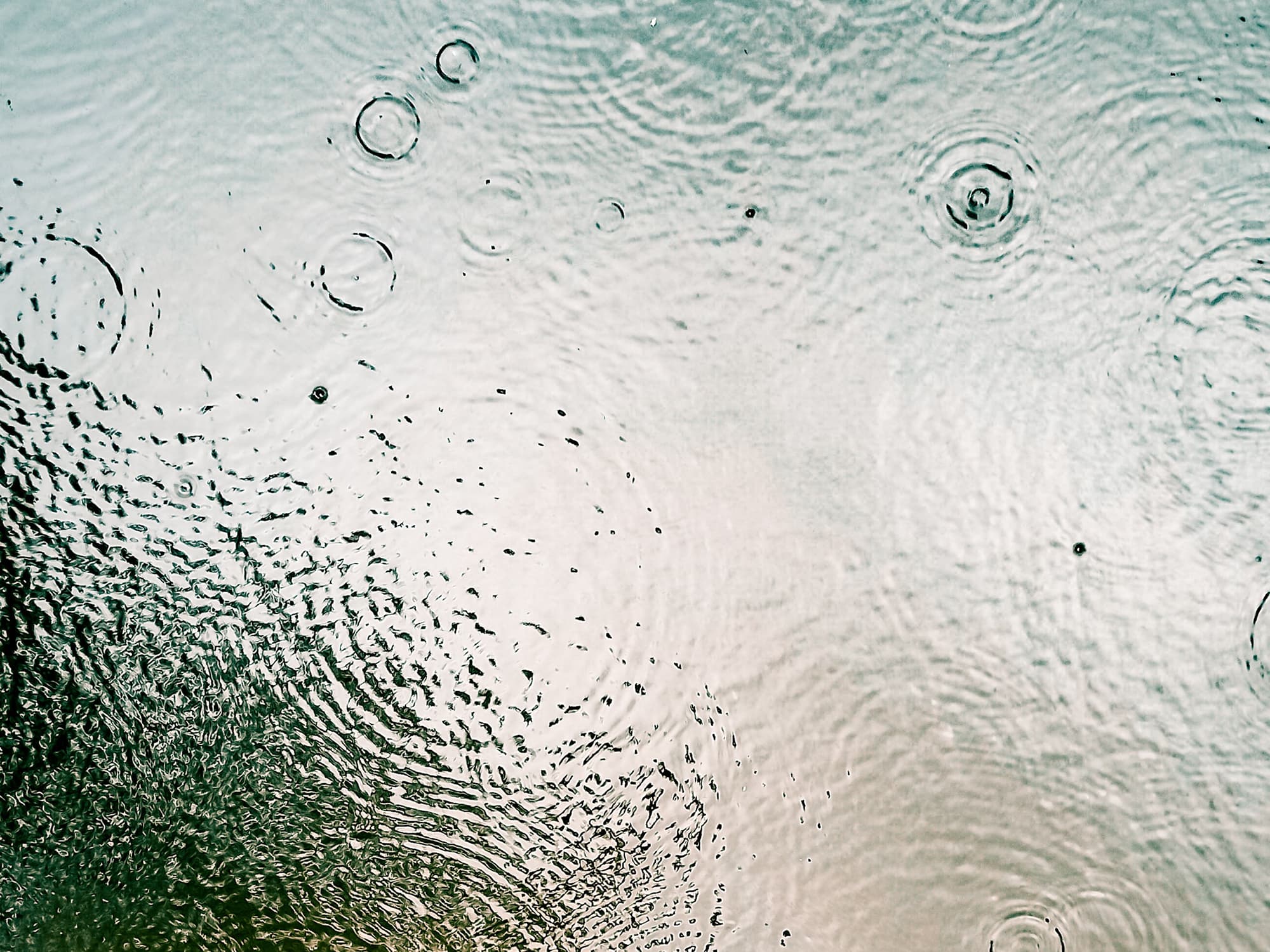 ESG Report cover image