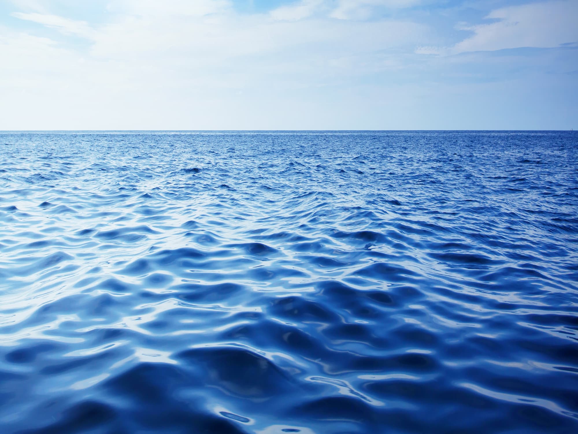 Sustainability and Wellness