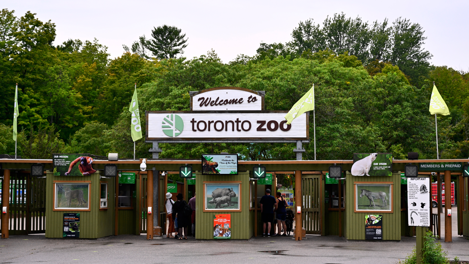 Toronto Zoo Case Study