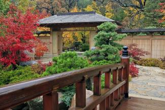 Anderson Japanese Gardens Sloan