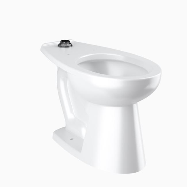 Floor Mounted Water Closet