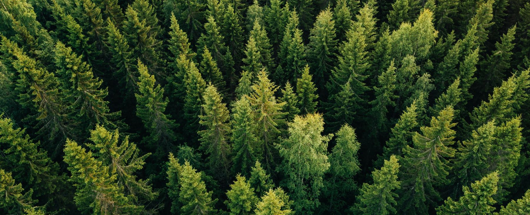 Carbon Neutral Products